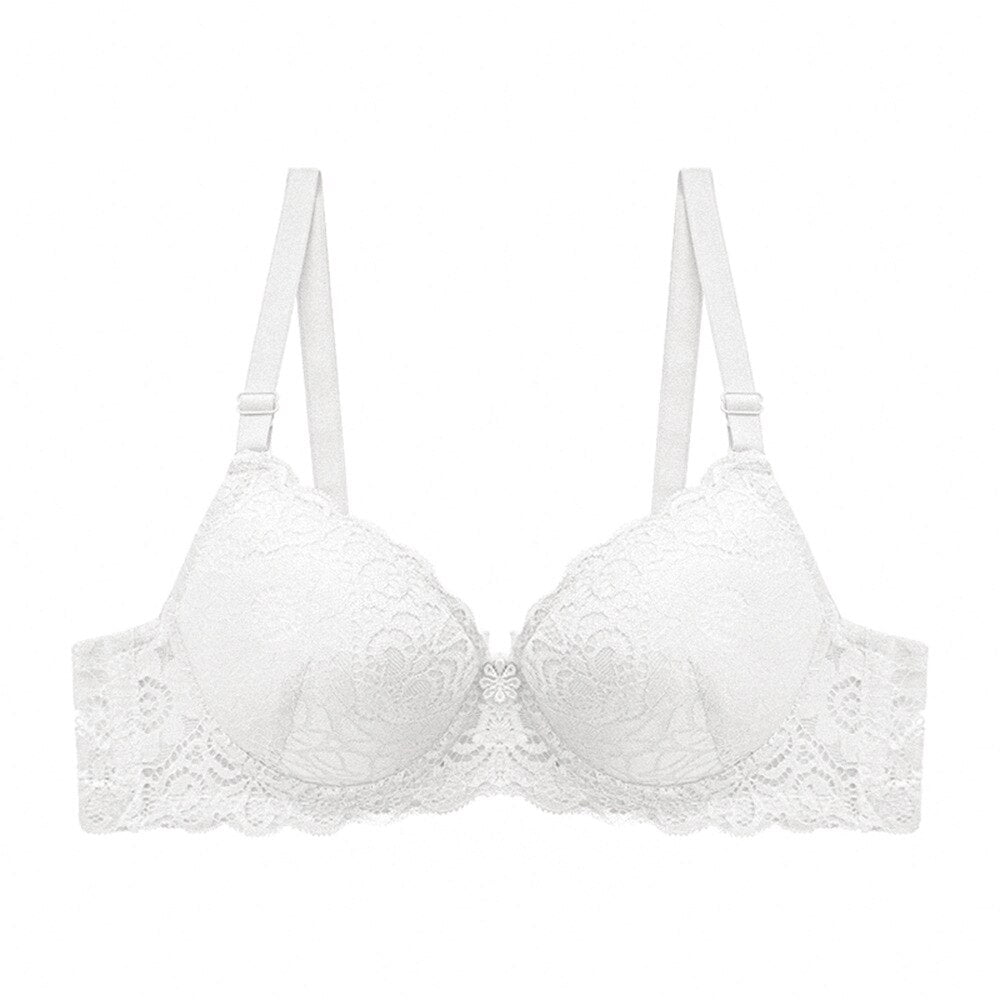 Reggiseno in pizzo Reggiseno push-up da donna Reggiseno sexy in lingerie